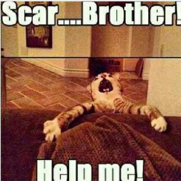 johnfxrd's tweet photo. Lmao http://t.co/OREQwCCiio
