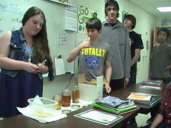 NPMSBeeProject's tweet photo. During a Farm To School program students learn about honeybees and get to sample different types of raw honey. http://t.co/TaQ3l6dZhH