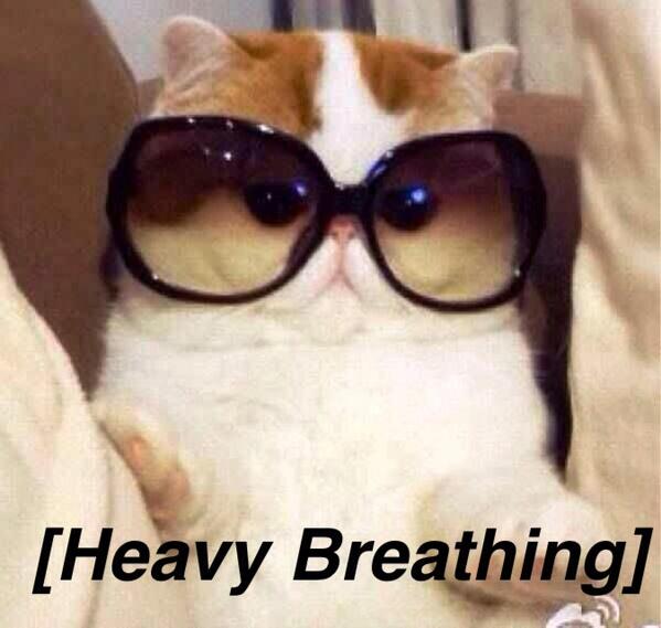 ConfessionsCCS's tweet image. Emma Watson loves me.