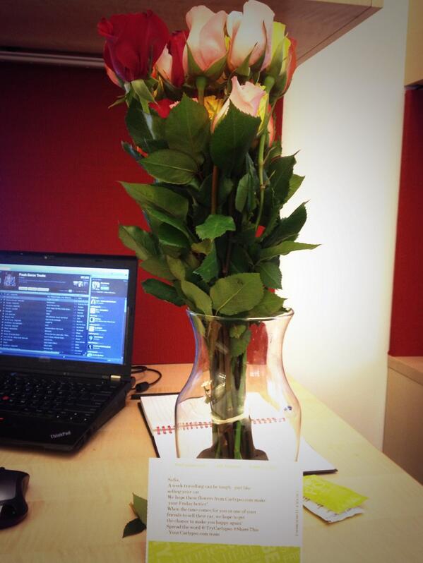 ESofia's tweet photo. Flowers from Carlypso!! @trycarlypso #sharethis http://t.co/vN2be8AAz2
