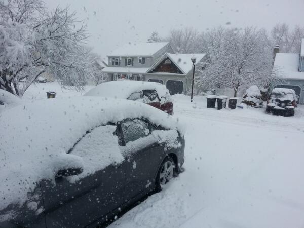 은둔거사 (@pjyim52) on Twitter photo 