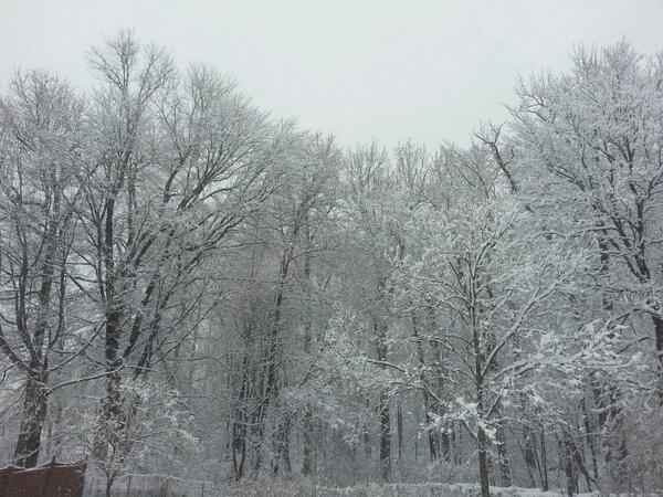 은둔거사 (@pjyim52) on Twitter photo 