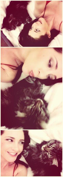 Awww... Jack came to snuggle mommy ♡ #pussylover http://t.co/t0QwB0I7J6<a href="/tag/pussylover"class="tags">#pussylover</a>