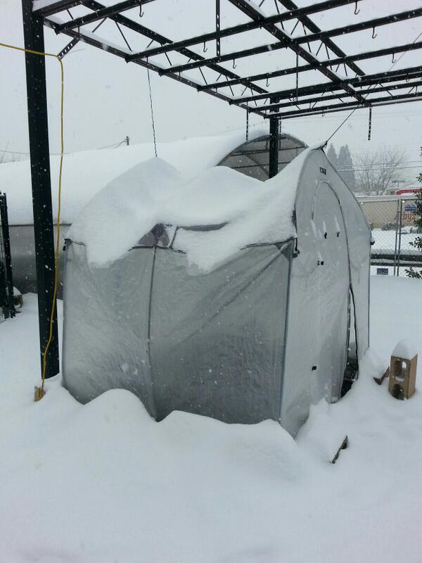 Keizer Nursery (KeizerNursery) Twitter