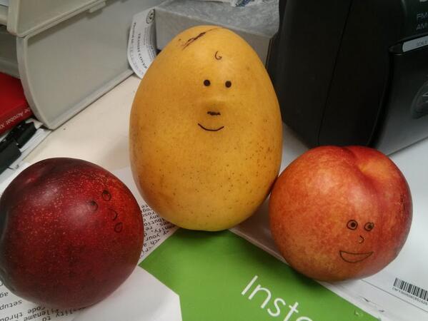 Cindeee83's tweet photo. Fruit salad in the summer is the best! #FruitFaces http://t.co/6gg9uC6fIc