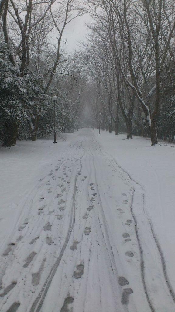 つくばもすっかり雪化粧 