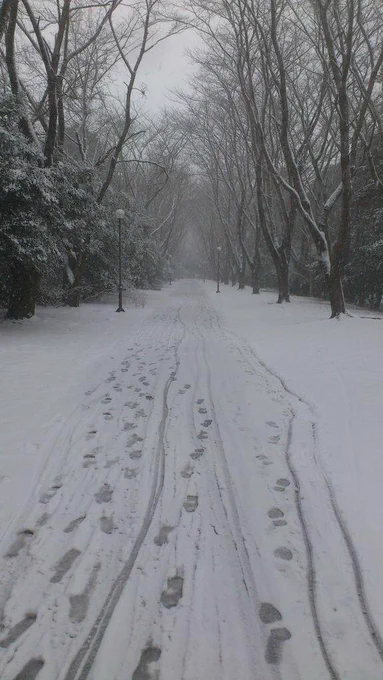 つくばもすっかり雪化粧 