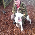 Photo by Boxer Welfare Scot (@Boxer_BWS)