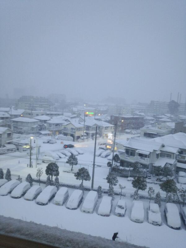 hamataka0505's tweet photo. 神奈川とは思えないw http://t.co/lDStsxH5As