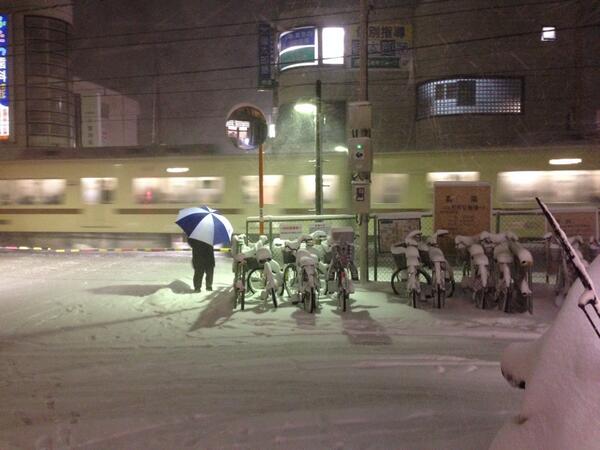最強の新京成電鉄 介護のすくーと 猫のモナカの癒し