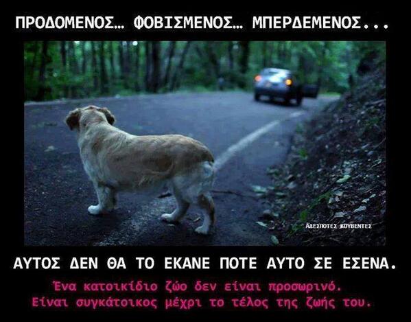 A_Morellas's tweet photo. Ναι, η εικόνα τη στιγμή της εγκατάλειψης είναι ακριβώς αυτή: http://t.co/YAmjtVmCU5