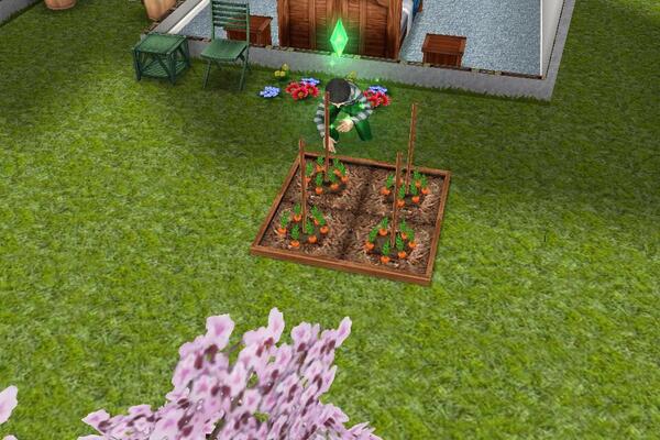 Poum Poum Tchak tweet media