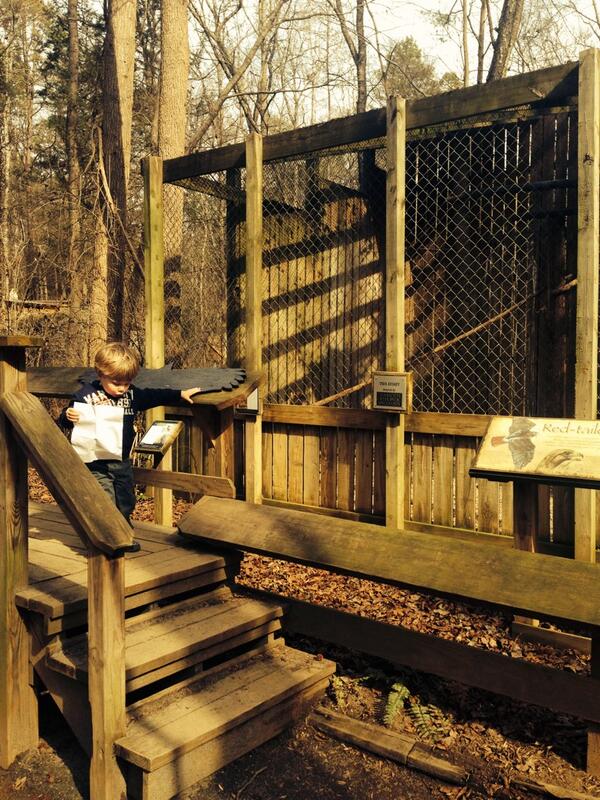 Checking out some birds <a href="/CarolinaRaptor/">CarolinaRaptor</a>