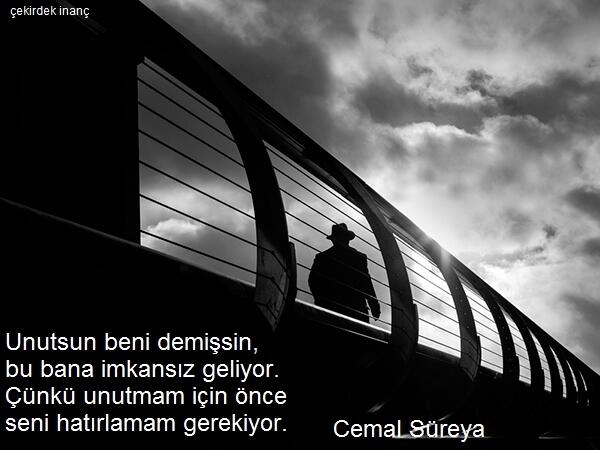 SinanEntrli's tweet photo. Ne güzel de söylemiş Cemal SÜREYA http://t.co/Go5yEt09YT