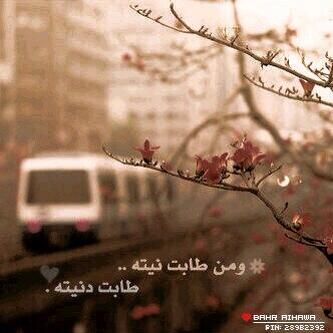 ComDsws tweet picture
