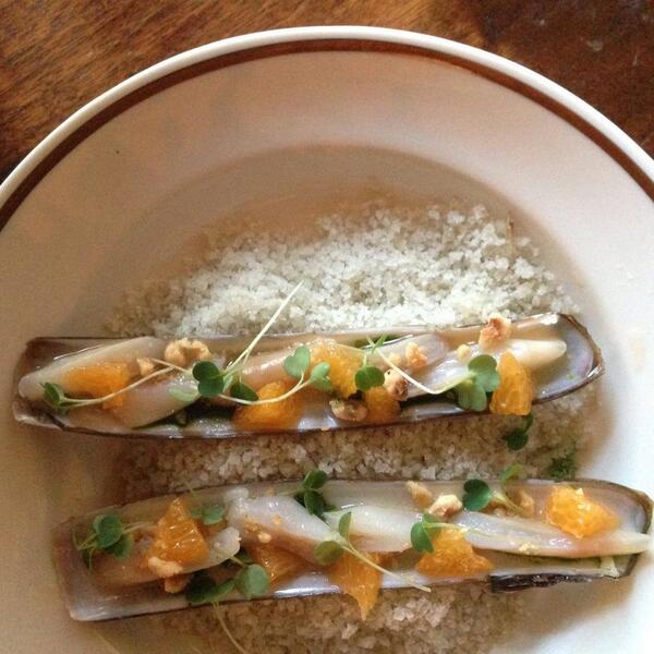 Forequarter tweet media