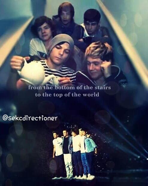 sekcdirectioner tweet picture