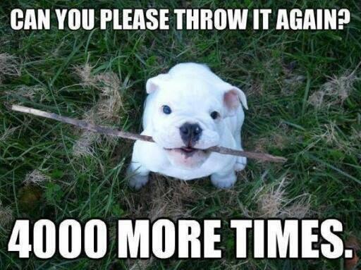 carpenter4851's tweet image. Please?