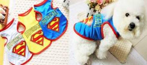 Pet Paws tweet media