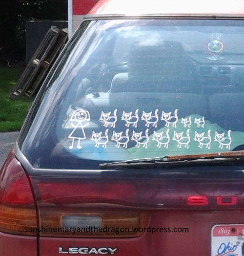 SunshineMarySSM's tweet image. What feminism hath wrought. My husband took this photo a while back. 
 #backtothekitchen