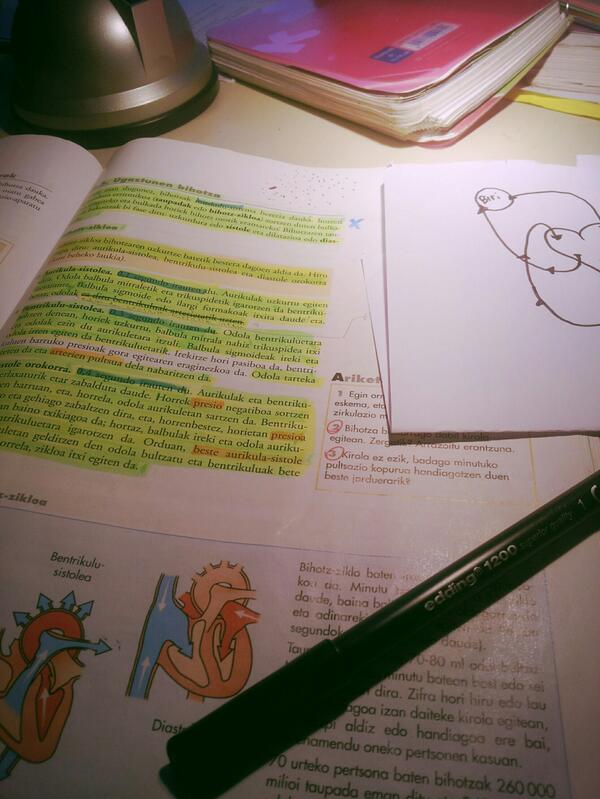 reysarii's tweet photo. Gaaurko planaaa....#BIO http://t.co/uaYuJU12HF