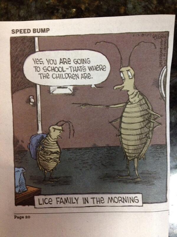 IleneLiceQueen's tweet image. @IleneLiceQueen: #Lice family in the morning. Learn how to do a head check like a professional #nitpicker