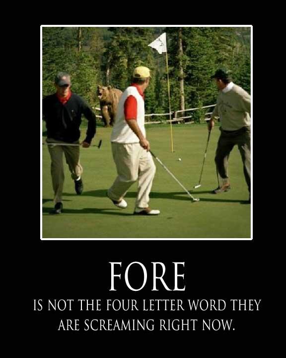 Dan Hauser on Twitter: "#GolfHumor #Fore #Golf #Humor #BearHumor  http://t.co/Y9fBIJsQid http://t.co/vieKQaGufU"