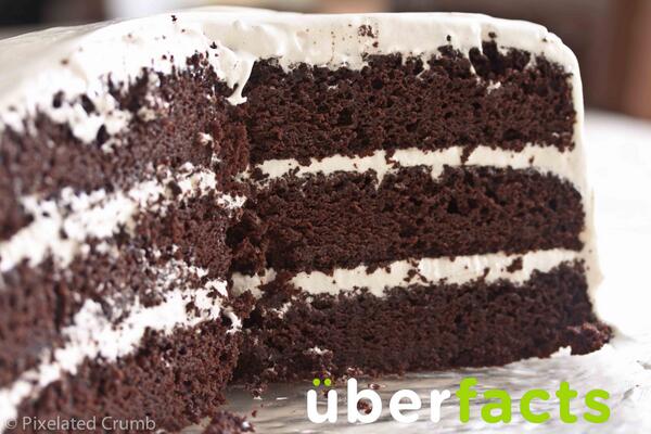 Today is International Chocolate Cake Day!