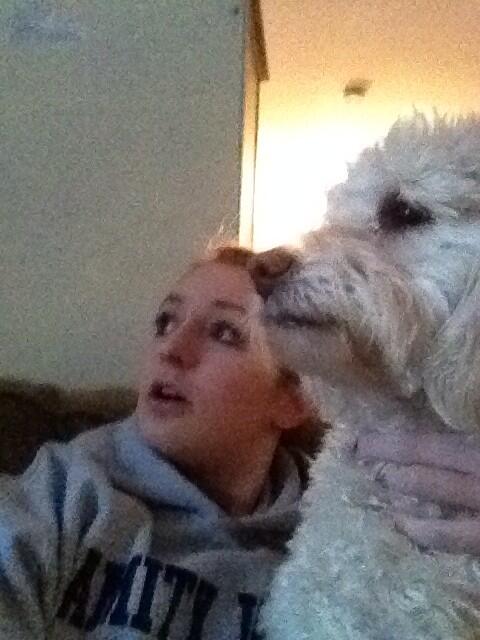 TimeLady435's tweet photo. @CHIMPSINSOCKS Dramatic dog selfies... http://t.co/h3G8YUdL5r