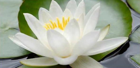 Kindness is, and always will be, the only thing that really matters."  <a href="/Conduru/">Marcia Conduru</a> <a href="/BuddhaBrian/">Buddha Brian</a>  #JoYTrain