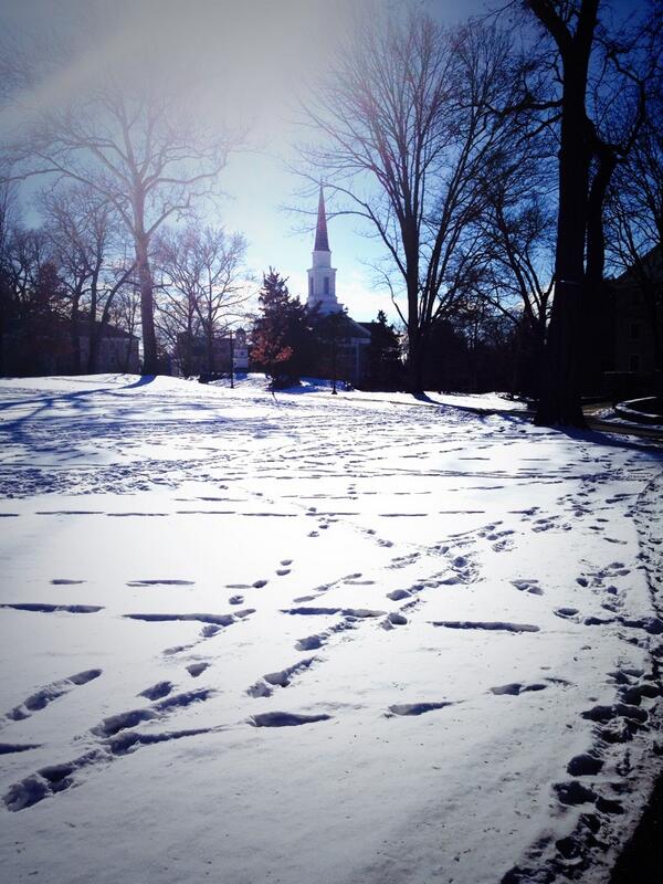 The snow is still beautiful a week later #dsonphotos