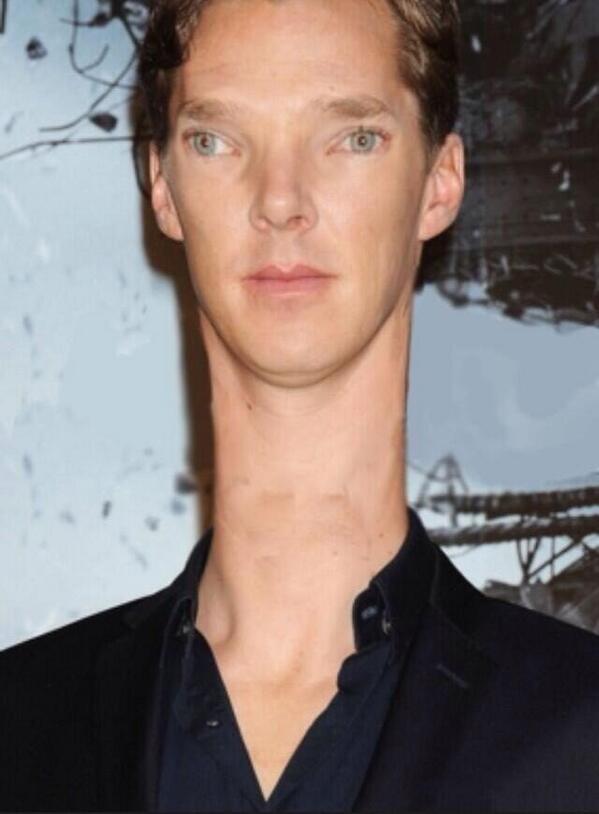 Shaneanddan's tweet photo. Llama mixed with benadict cumberbatch http://t.co/0IqJzRKr7q