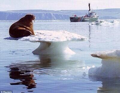 BigTuna__'s tweet image. This along with bowling proves that physics doesn't actually exist @TimClarbour