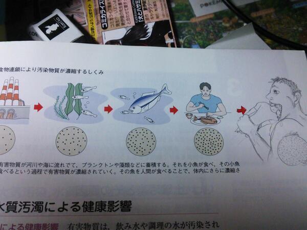 教科書 落書き ハイレベル 河田孝文 2年学級通信 七色の落書き