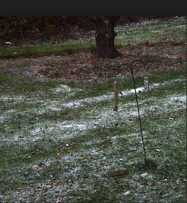Coastalgirlprob's tweet photo. SEVERE SNOW STORM ALERT ISSUED FOR COASTAL CAROLINA UNIVERSITY BE LIKE   #coastalgirlprob http://t.co/iiHcxBQGki