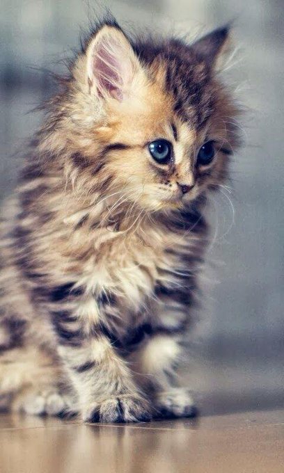 @PoppyEverdeen http://t.co/pwPM2ydt5T<a class="tags" target="_blank" title="On Twitter" href="/?out=eyJ0eXAiOiJKV1QiLCJhbGciOiJIUzUxMiJ9.eyJpYXQiOjE3MjU1ODQ4OTEsImlzcyI6InR3cG9ybnN0YXJzLmNvbSIsIm5iZiI6MTcyNTU4NDg5MSwiZXhwIjoxNzU3MTIwODkxLCJyZWRpcmVjdF91cmwiOiJodHRwczovL3R3aXR0ZXIuY29tL1BvcHB5RXZlcmRlZW4ifQ.WulDwUKUe00AHjHZzCRBlRgjpFWWtC73r6jh9gPcVfDQDxz4UQpngatTP2-qyXj2XKVQdxEYSQll3uVlQvMNsQ">@PoppyEverdeen</a><a href="/tag/bbw"class="tags"><span>#bbw</span></a><a href="/tag/camgirl"class="tags"><span>#camgirl</span></a><a href="/tag/nsfw"class="tags"><span>#nsfw</span></a><a href="/tag/livecam"class="tags"><span>#livecam</span></a>