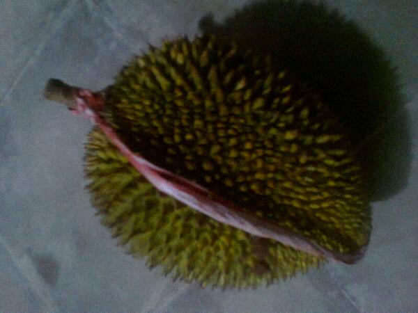 anthys_facts's tweet photo. Assalamu'alaikum...
Selamat Siang Fb's...
Ada yg ''mfavouritekn buah ini..... http://t.co/grJfdtdw0c