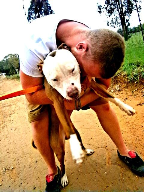 nikkisusman's tweet photo. Handsome Rex needs a loving home. Strict home checks apply. Please contact me for more info. http://t.co/rh6pKwmQCV