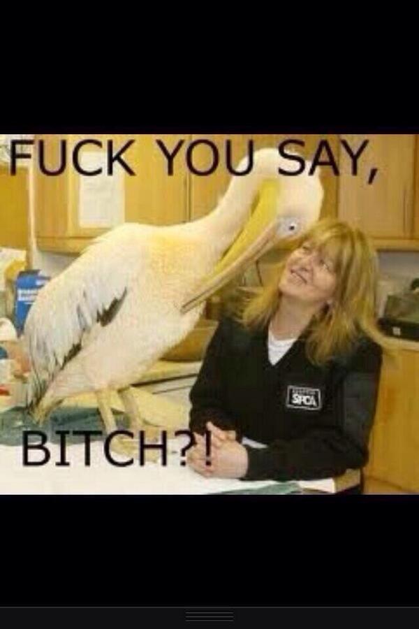 BasedGod_Gohan's tweet photo. When people say they don't like DBZ http://t.co/4u4nNJeNuV