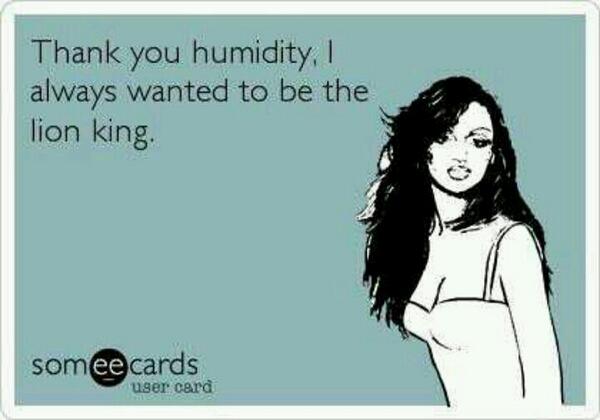 CurlyProbs's tweet photo. HAHA my life http://t.co/R5VxwLJ3ku