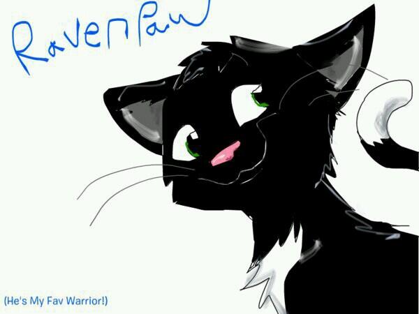 Ravenpaw (@ravenpaw2) on Twitter photo 