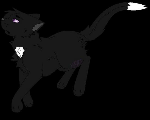 Ravenpaw (@ravenpaw2) on Twitter photo 