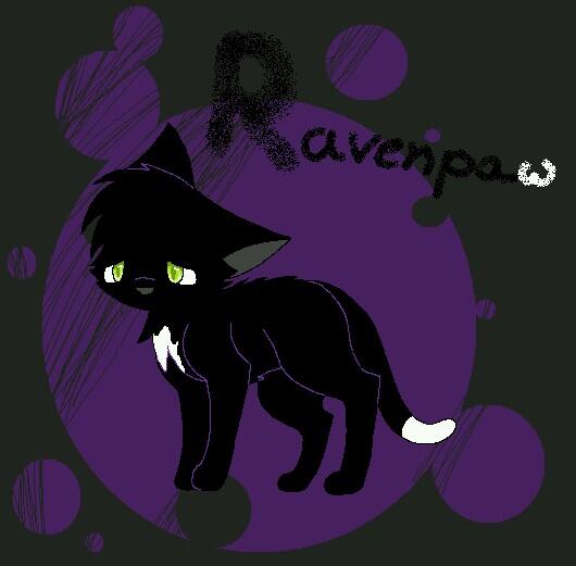 Ravenpaw (@ravenpaw2) on Twitter photo 