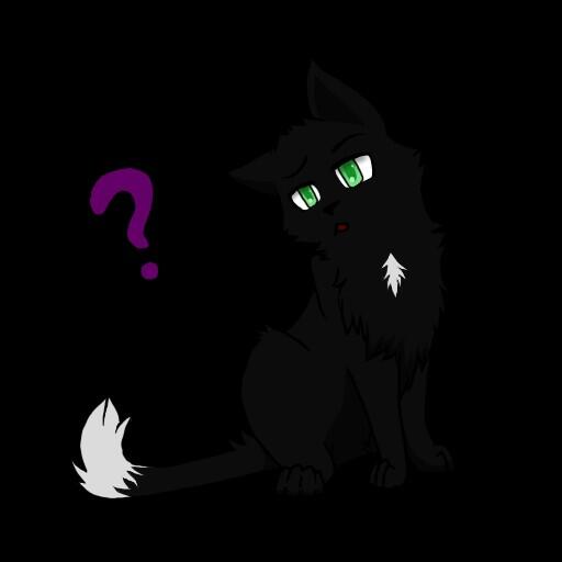 Ravenpaw (@ravenpaw2) on Twitter photo 