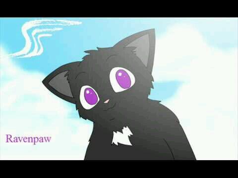Hi im RavenPaw