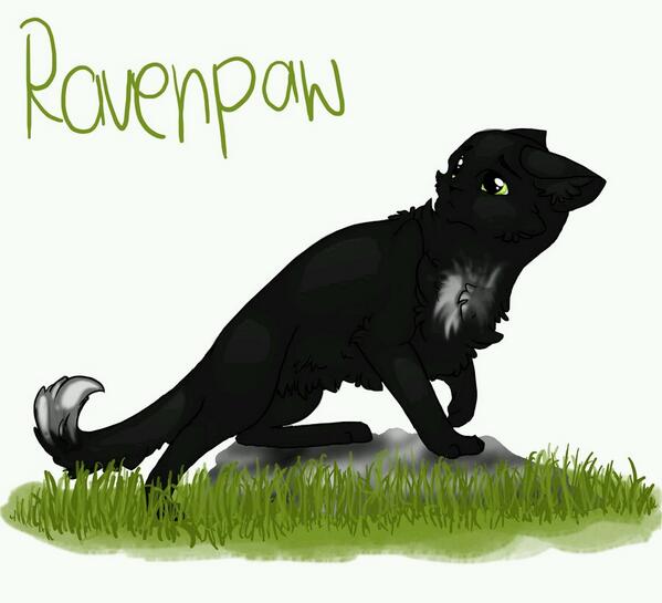 Ravenpaw (@ravenpaw2) on Twitter photo 