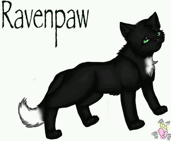 Ravenpaw (@ravenpaw2) on Twitter photo 