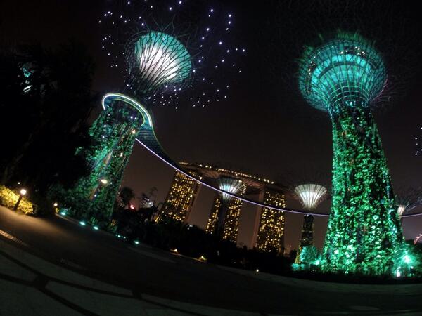 sofisalm's tweet photo. Gardens at the Bay, Singapore😍🌏 http://t.co/Va7unvx6t7