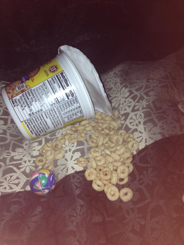 cassidybreann's tweet photo. Gosh having a three year old is so easy #SaidNoOneEver http://t.co/qKc1GUTc6Q