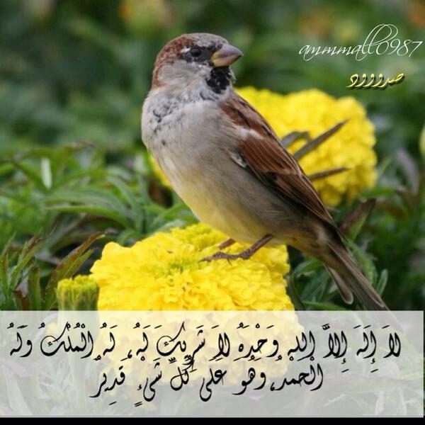 ammmall0987 tweet picture